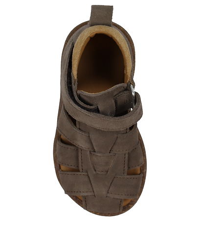 Angulus Sandalen - Anfänger - Dark Taupe/Camel