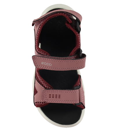 Ecco Sandals - Biom Raft - Blush/Morillo