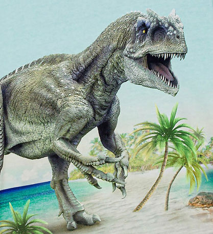 Molo T-shirt - Roxo - Beach Dino Molo T-shirt - Roxo - Beach Dino