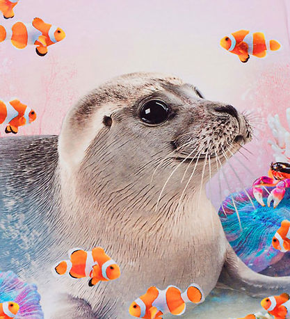 Molo Stuttermabolur - Rayah - Seal Reef