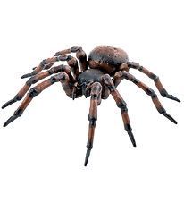 Papo Spider - L: 6 cm Papo Spider - L: 6 cm