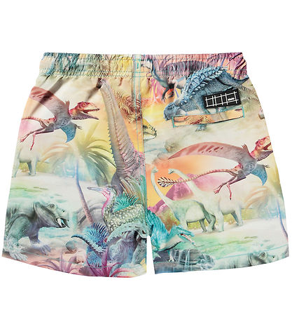 Molo Swim Shorts - UV50+ - Niko - Dino Paradise