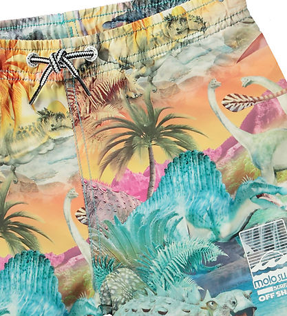 Molo Swim Shorts - UV50+ - Niko - Dino Paradise