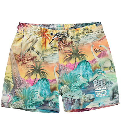 Molo Swim Shorts - UV50+ - Niko - Dino Paradise