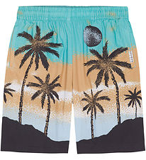 Molo Shorts - Adi - Holiday Molo Shorts - Adi - Holiday