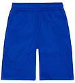 Molo Shorts - Arrow - Reef Blue Molo Shorts - Arrow - Reef Blue