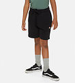 Dickies Íþrótta stuttbuxur - Youth Mapleton - Prjónið Black Dickies Íþrótta stuttbuxur - Youth Mapleton - Prjónið Black