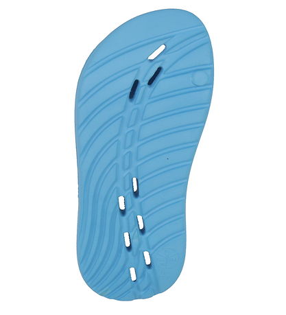 Speedo Flip Flops - Blue/White
