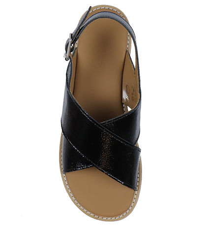 Angulus Sandal - Black