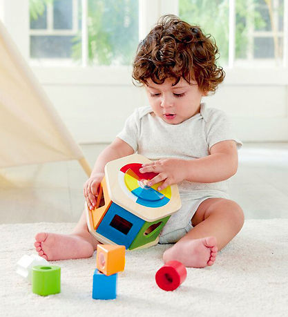 Couleur et boîte de tri de formulaires Hape - 7 Parties Couleur et boîte de tri de formulaires Hape - 7 Parties