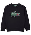 Lacoste Peysa - Svart
