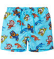 Name It Swim Shorts - NmmMoti PawPatrol - Bluefish Name It Swim Shorts - NmmMoti PawPatrol - Bluefish
