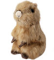 Living Nature Soft Toy - 14x7 cm - Baby Capivar - Brown Living Nature Soft Toy - 14x7 cm - Baby Capivar - Brown