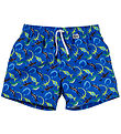 BECO Swim Shorts - Ocean Dinos - UV50+ - Blue