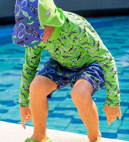 BECO Swim Shorts - Ocean Dinos - UV50+ - Blue
