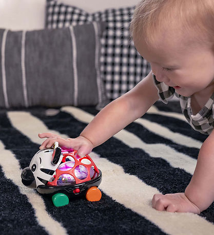 Baby Einstein Activity Toy - Zen Oball Vehicle
