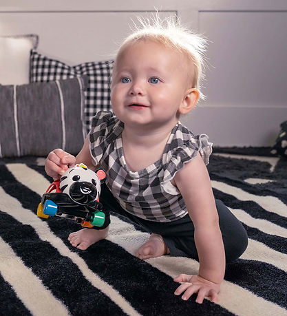 Baby Einstein Activity Toy - Zen Oball Vehicle