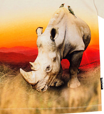 Molo T-shirt - Pink - Rhino Molo T-shirt - Pink - Rhino