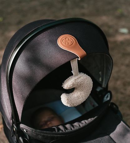 Multi Clips Cloby - 2 pces - Noir Multi Clips Cloby - 2 pces - Noir