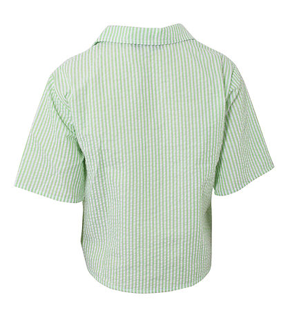 Hound Shirt - Stripe - Power Green