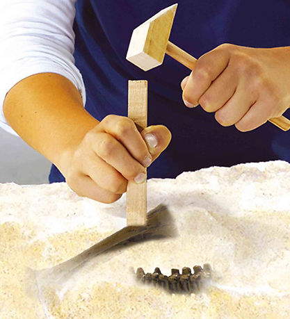 SES Creative Excavation - Explore - Stegosaurus and Skeleton