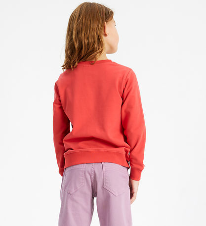 The New Peysa - TnLaline - Chrysanthemum The New Peysa - TnLaline - Chrysanthemum