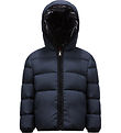 Moncler Down Jacket - Carpet - Dark Blue