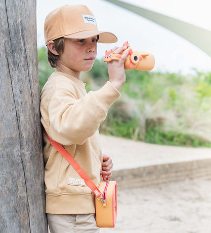 The Zoofamily Video camera - Zoo Video - Fox The Zoofamily Video camera - Zoo Video - Fox