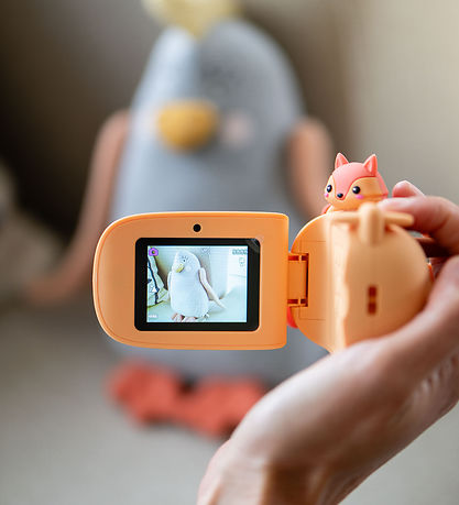The Zoofamily Video camera - Zoo Video - Fox The Zoofamily Video camera - Zoo Video - Fox