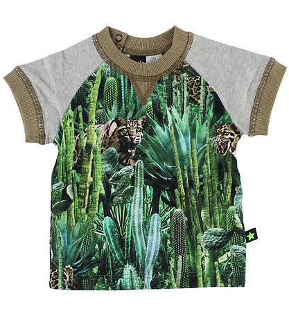 T-Shirt Molo - Eton - Cactus Bite T-Shirt Molo - Eton - Cactus Bite