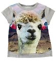 T-Shirt Molo - Erin - Lama