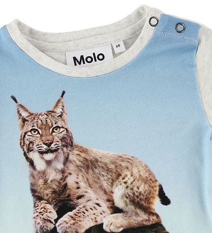 Molo T-shirt - Eddie - Cactus Cat