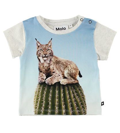 Molo T-shirt - Eddie - Cactus Cat Molo T-shirt - Eddie - Cactus Cat