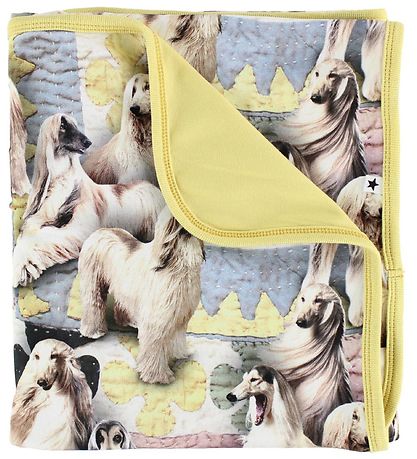 Molo Blanket - 80x75 - Neala - Dogtastic Molo Blanket - 80x75 - Neala - Dogtastic