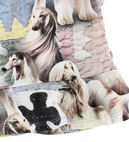 T-Shirt Molo - Ebba - Dogtastic