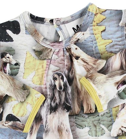 Molo Jurk - Caroline - Dogtastic Molo Jurk - Caroline - Dogtastic