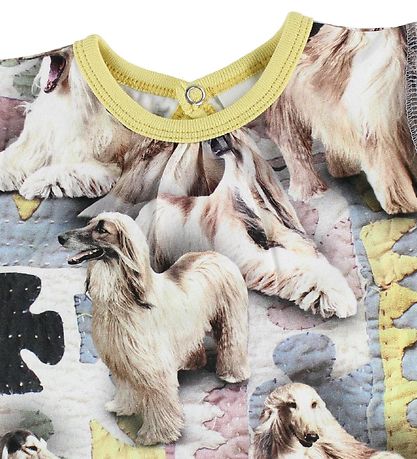 Molo Dress - Cathleen - Dogtastic Molo Dress - Cathleen - Dogtastic