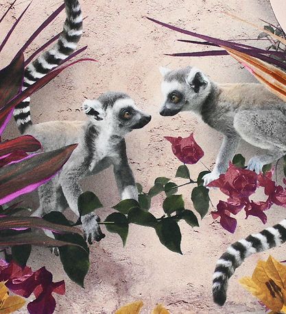 T-Shirt Molo - Erin - Lemur T-Shirt Molo - Erin - Lemur