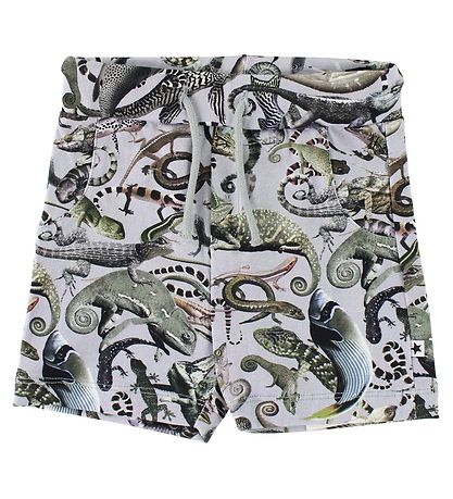 Shorts Molo - Simroy - Entangled Shorts Molo - Simroy - Entangled