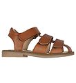 Wheat Sandals - Addison - Amber Brown Wheat Sandals - Addison - Amber Brown
