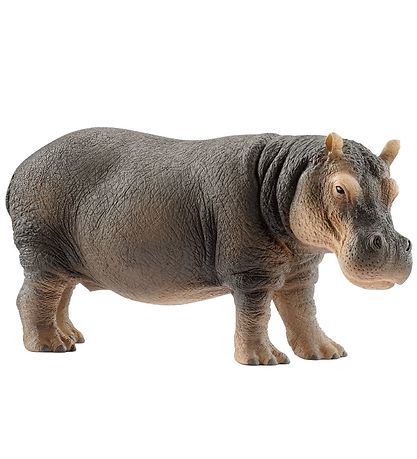 Schleich Dýr - Flóðhestur - L: 13 cm 14814