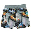 Molo Shorts - Simroy - Bumper Car Molo Shorts - Simroy - Bumper Car