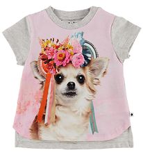 T-Shirt Molo - Erin - Chihuahua T-Shirt Molo - Erin - Chihuahua