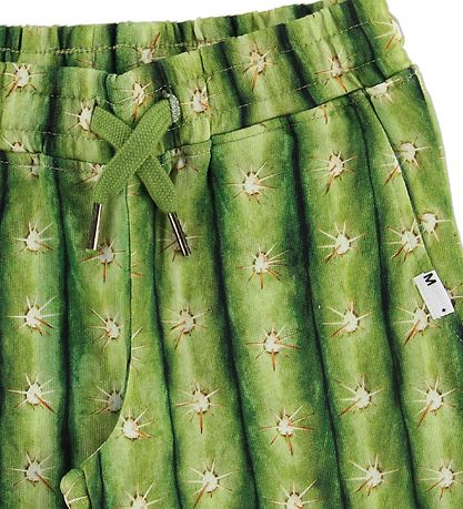 Molo Sweat Shorts - Arnt - Cactus Molo Sweat Shorts - Arnt - Cactus