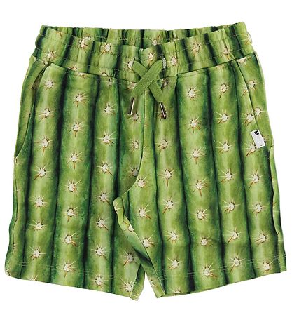 Molo Sweat Shorts - Arnt - Cactus Molo Sweat Shorts - Arnt - Cactus