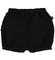 Little Wonders Bloomers - Amber - Black w. Ruffles Little Wonders Bloomers - Amber - Black w. Ruffles