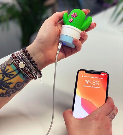 Moji Power Power Bank - Cactus - 2600mAh