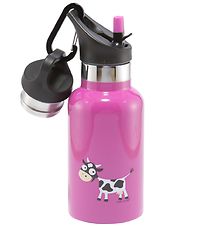 Carl Oscar Hitabrúsi - TEMPflask - 350 ml - Purple Kýr Carl Oscar Hitabrúsi - TEMPflask - 350 ml - Purple Kýr