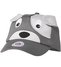 Affenzahn Pet - David Maar Affenzahn Pet - David Maar