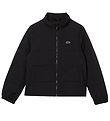 Veste Rembourrée Lacoste - Blouson - Black Veste Rembourrée Lacoste - Blouson - Black